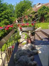 Set balustrada inox cu jardiniera incorporata