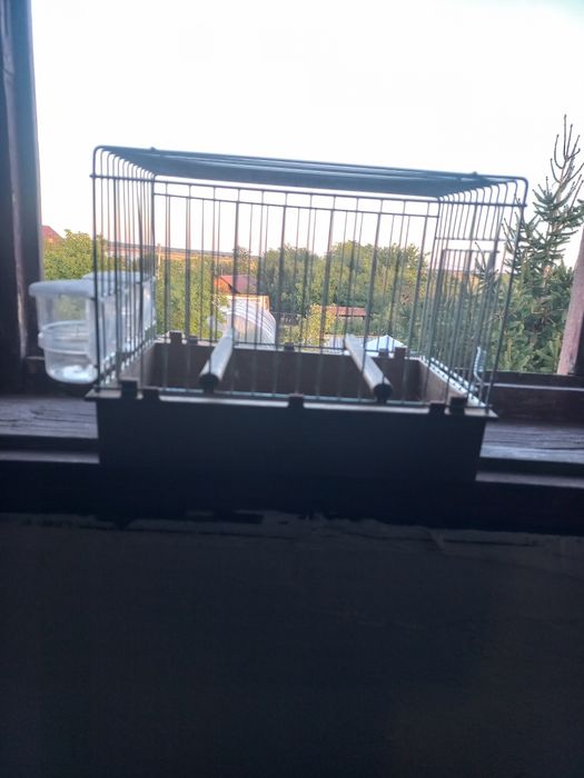 Colivii duble 503 și de cântec