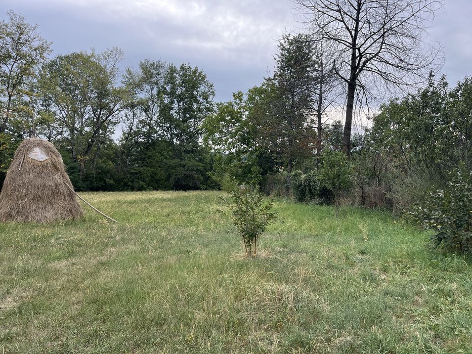 Teren intravilan 2.500 mp – Buciumeni, Dâmbovița