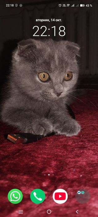 Йакинда олинган акилли