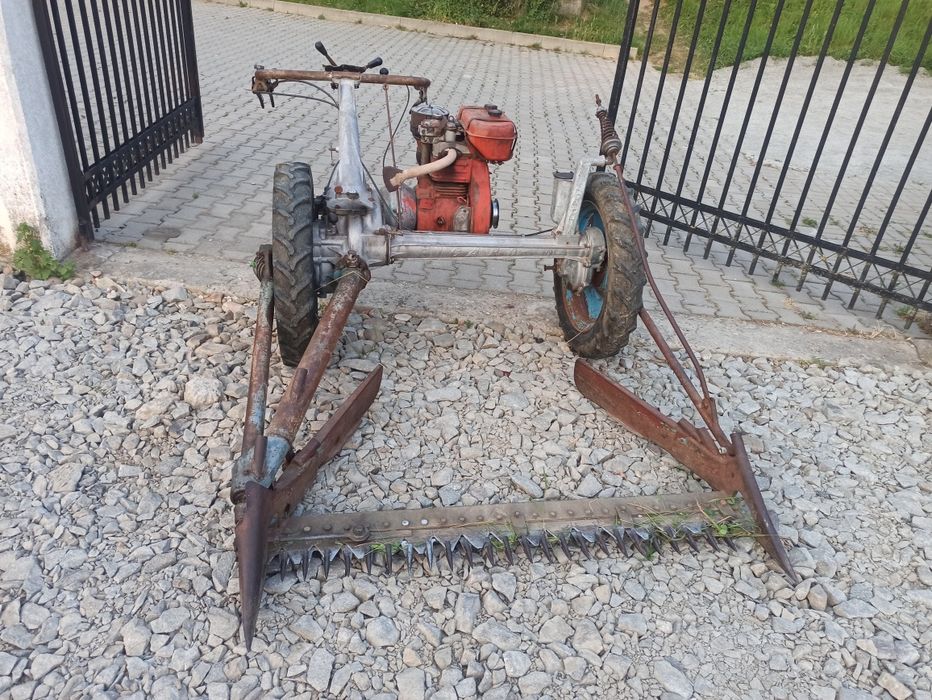 Vând sau schimb cu animale