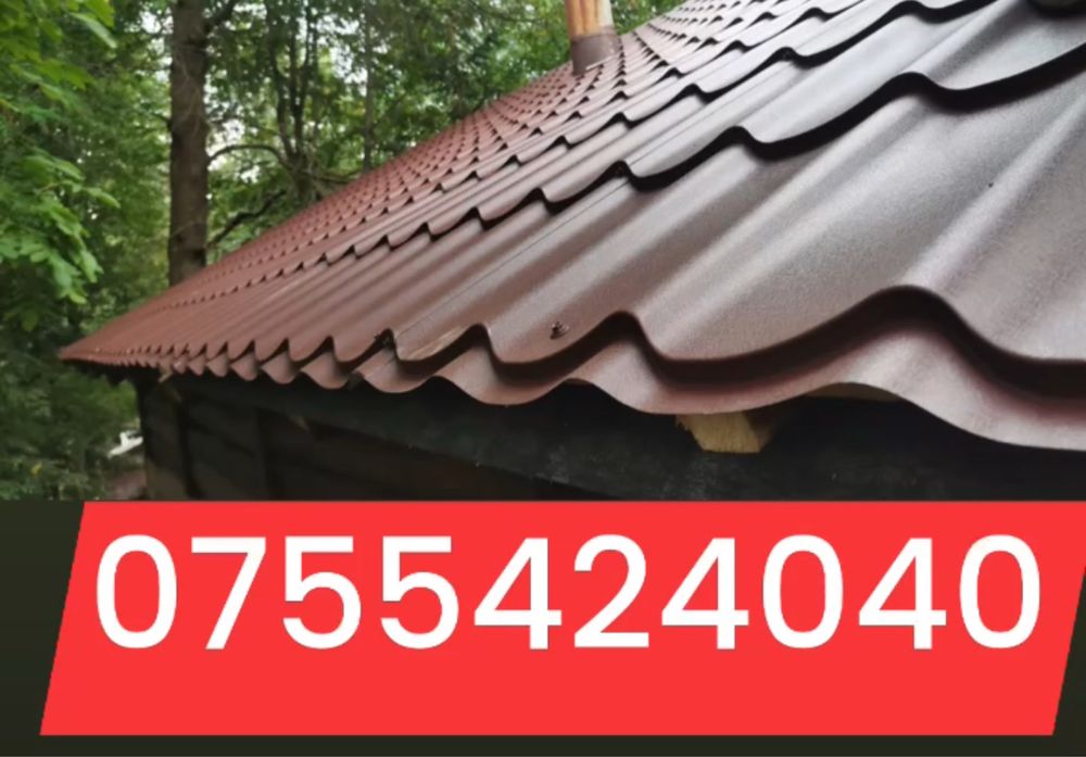 Horn Scocuri Aticuri  acoperisTigla jgheaburi  cos de fum