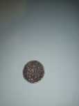 Moneda de 2 lei ,, an 1924 are 100 ani