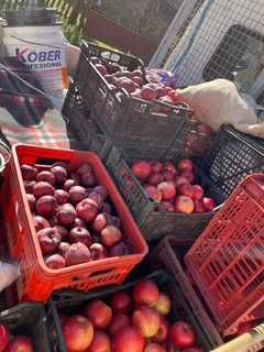 Vindem suc de mere/sfecla