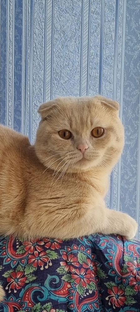 Вызка андижан огил 1.5 йош