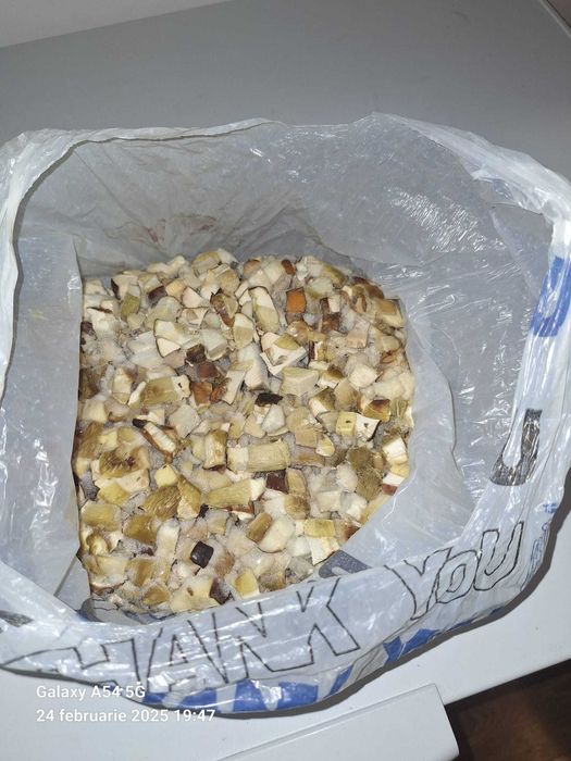 Hribi  congelați