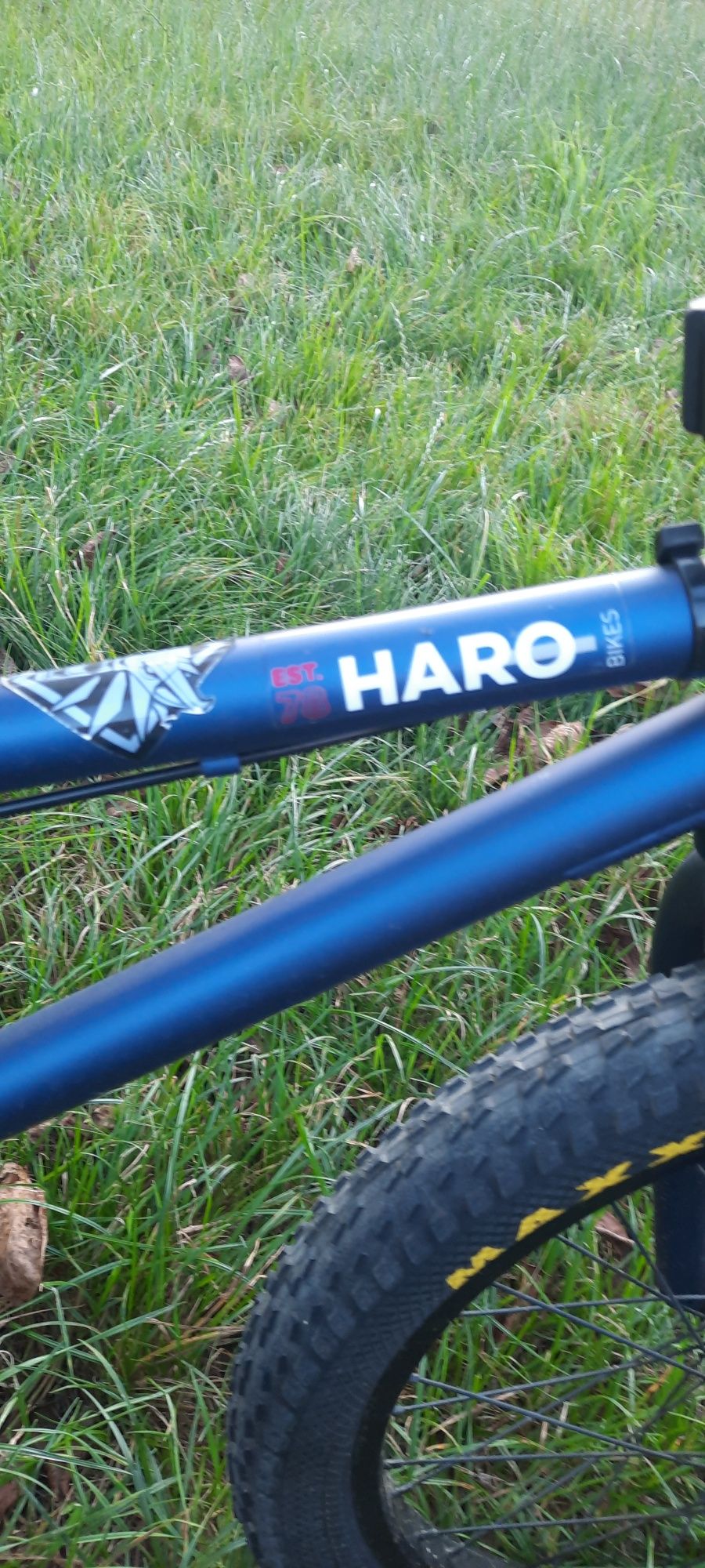 Bicicleta BMX Haro Boulevard 20