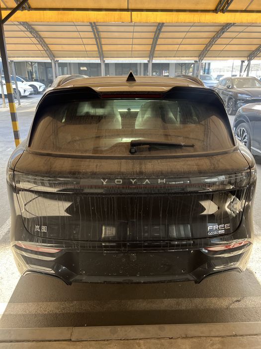 Voyah free apollo tech 318