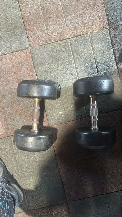 Gantere profesionale de 17,5 kg