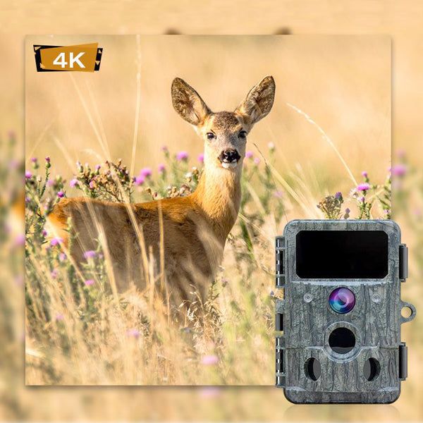 WIFI-BLUETOOTH фотокапан  RD3049pro 4К ULTRA HD 48MP /LK050/