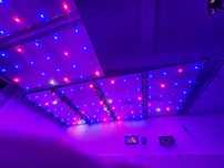 LED Лампа за расад (домати,краставици,пипер и др.)