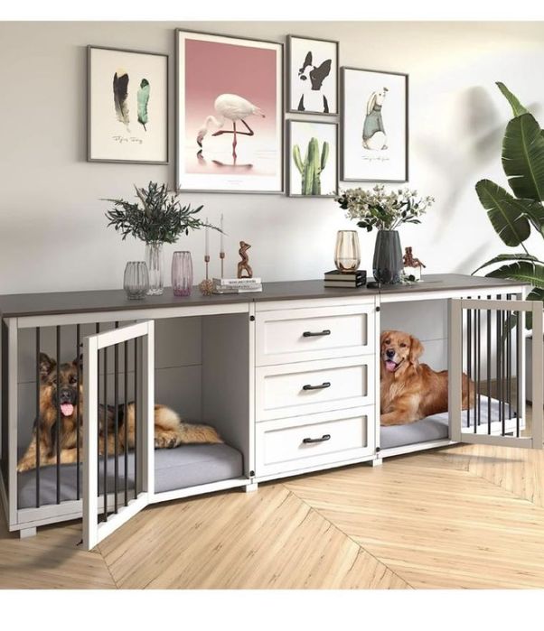 Мебель для собак