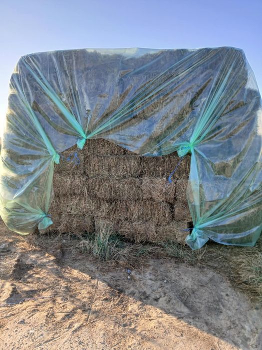 Baloti lucerna de vanzare