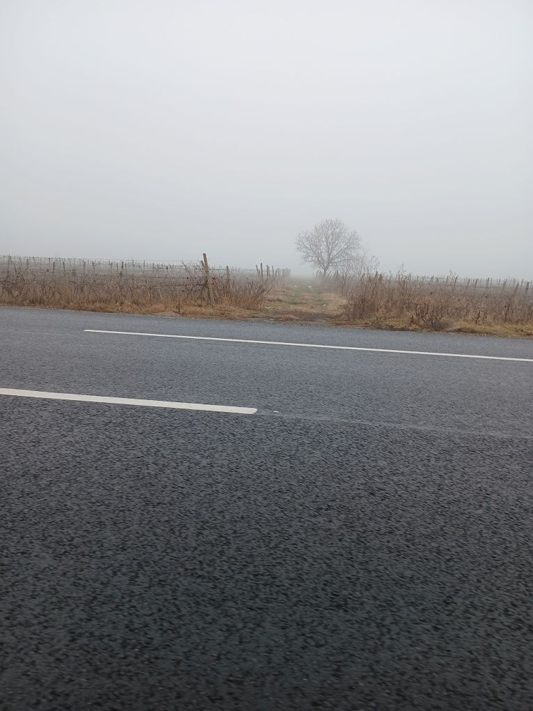 Vând teren la șoseaua națională E85 Dumbrăveni