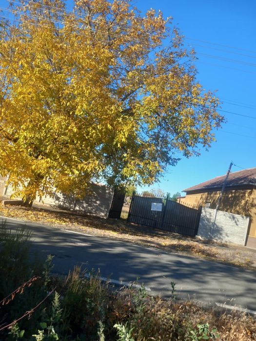 Teren intravilan in orasul Curtici