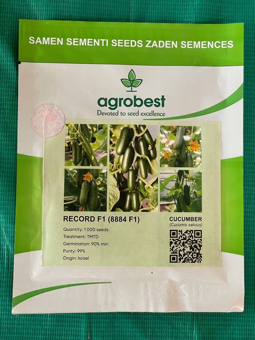 Семена разных видов