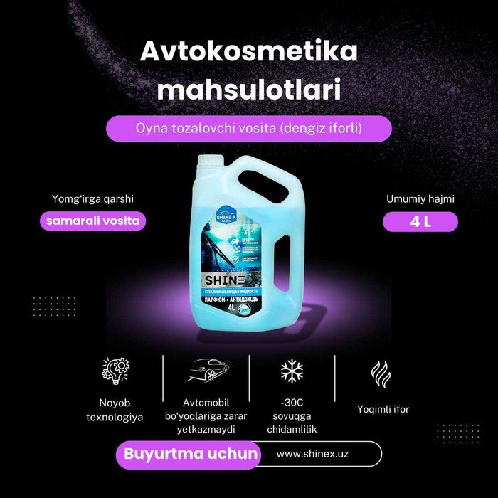 Незамерзайка Зимний стекломыватель Shinex 46.000