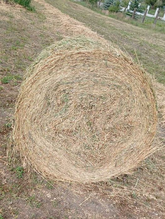 Vând baloți de lucernă, fân și paie
