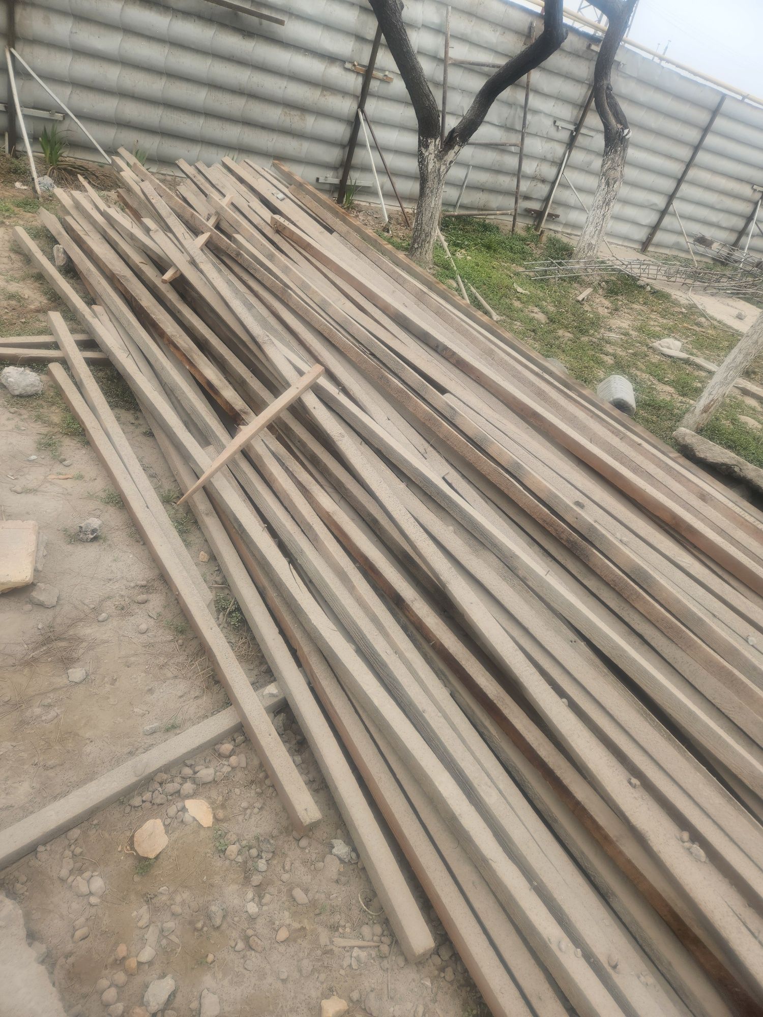 Reka bor taxta 5×4  min metrdan oshiq 6500 somdan