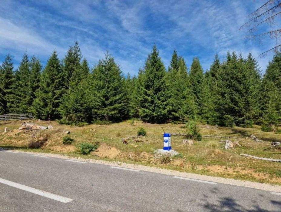 Teren Marisel 2008mp, Cluj