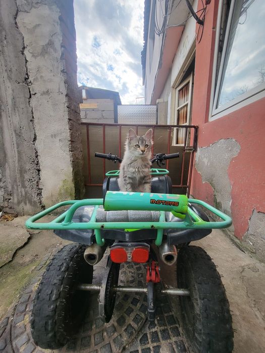 Vând ATV 49cc, foarte puțin folosit