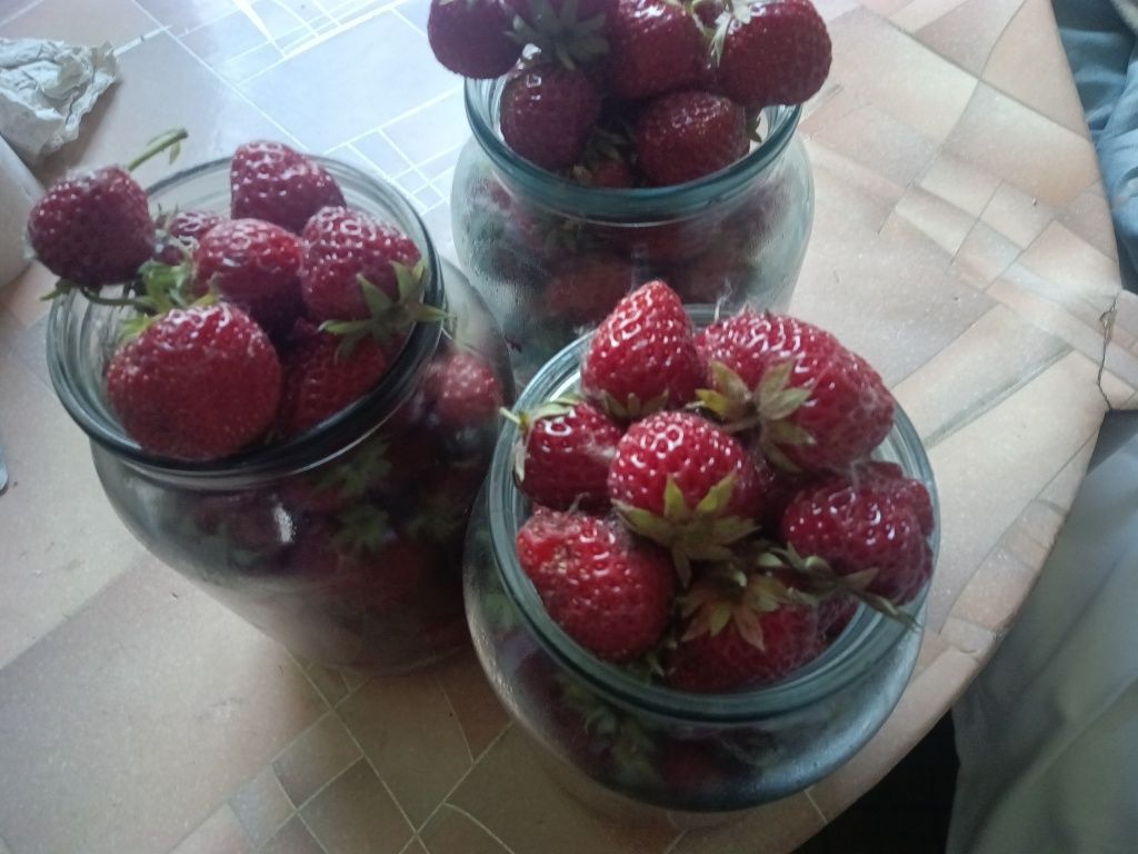 Продам клубнику сладкую вкусную, местную.