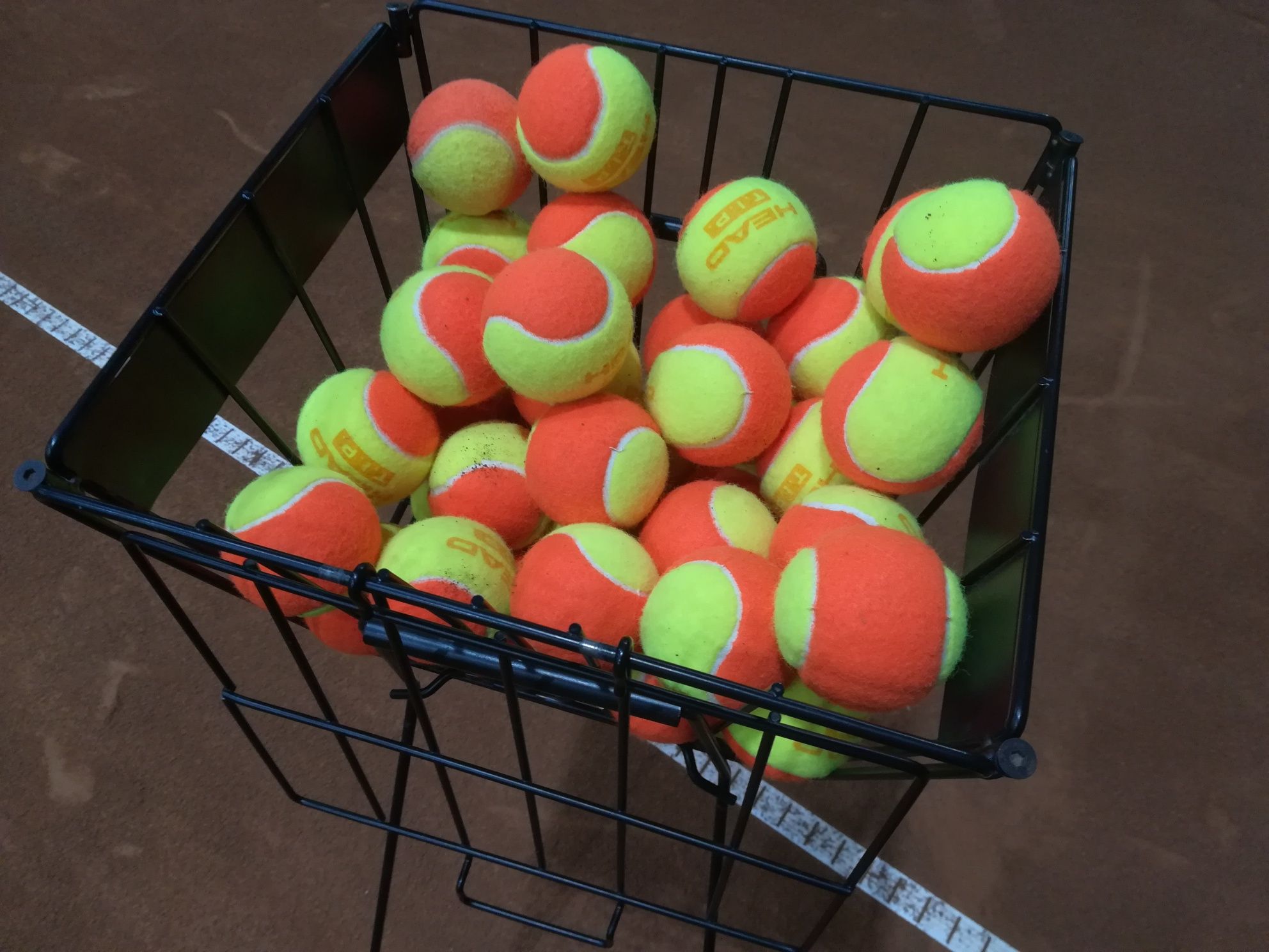 Antrenoare de tenis calificată ofer lecții de TENIS