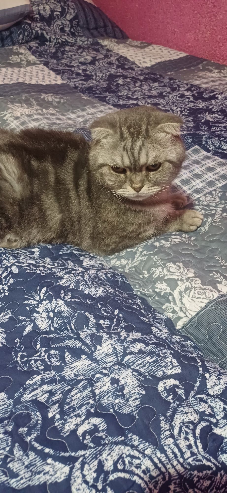 Мущик сотилади..