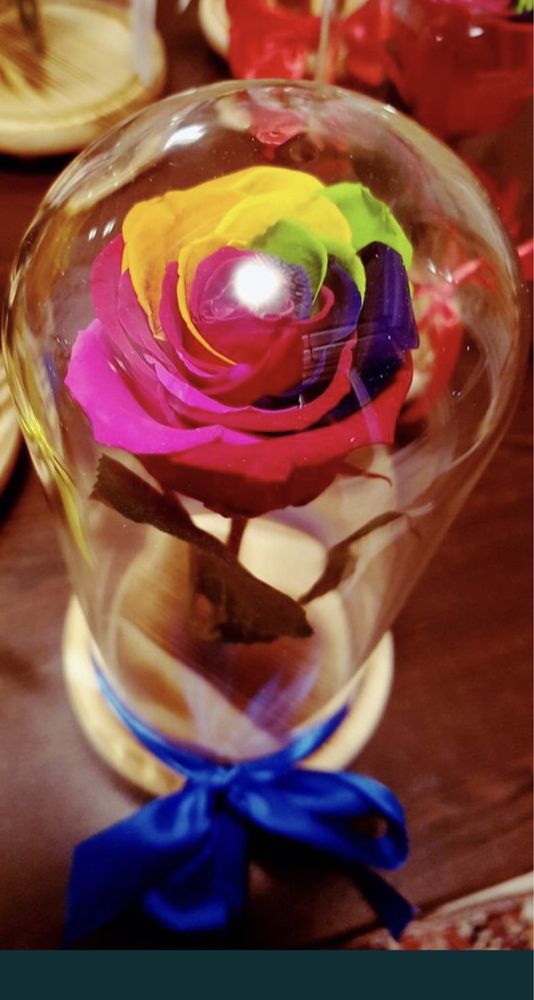 Cupola de sticla cu trandafir conservat multicolor