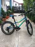 Bicicleta Junior Kenzel 20 Roxis