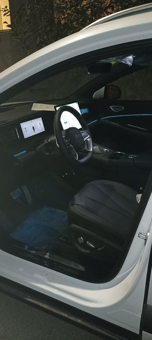 Byd sea leon 06 2025