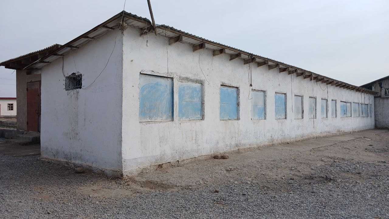 Oltinsoy tumanida omborxona binosi bolib tolash sharti bilan sotiladi