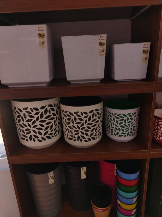 Azaliya gul tuvaklari