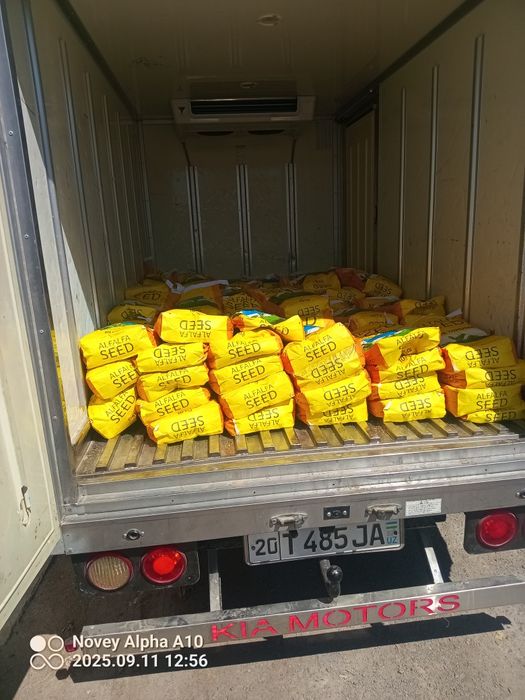 Кия бонго реф юк ташиш хизмати