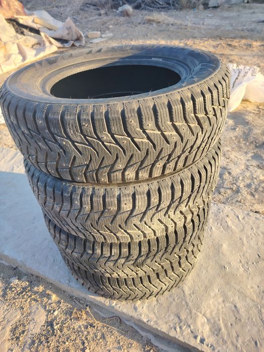 Зимные шины шипы