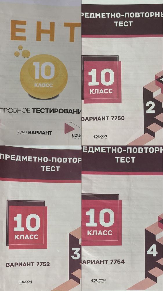 Пробники ЕНТ, Предметно-повторный тест, 10 класс, Educon