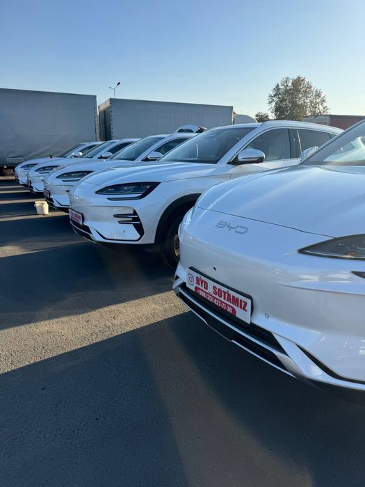 BYD smart chempion 2025