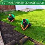 Установка живого газона в Ташкенте от официального дилера Eurogazon