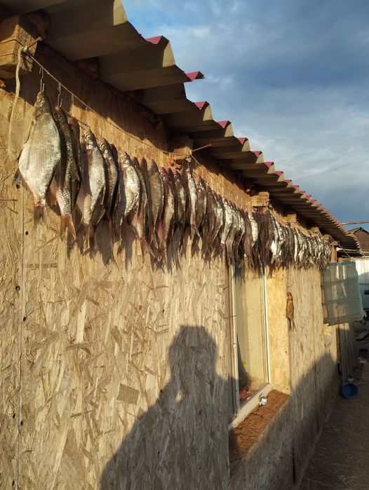 Продам сушёную рыбу