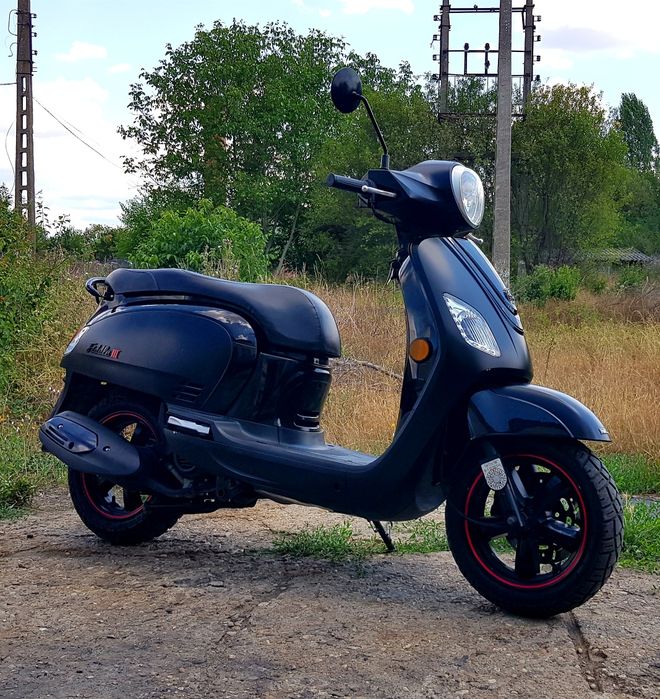 Sym fidele  50cm  3cp an 20
