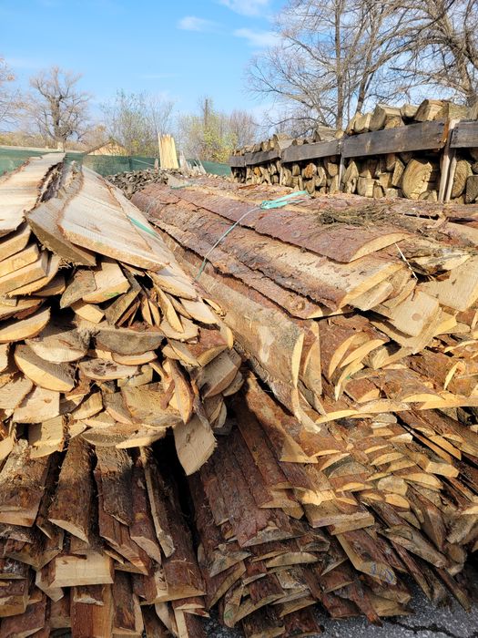 Иглолистни изрезки