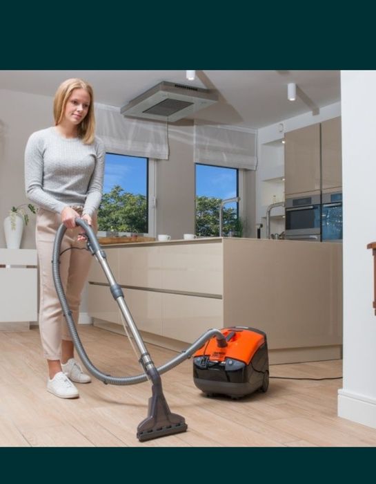 Пылесосы Thomas tomas twin leopard