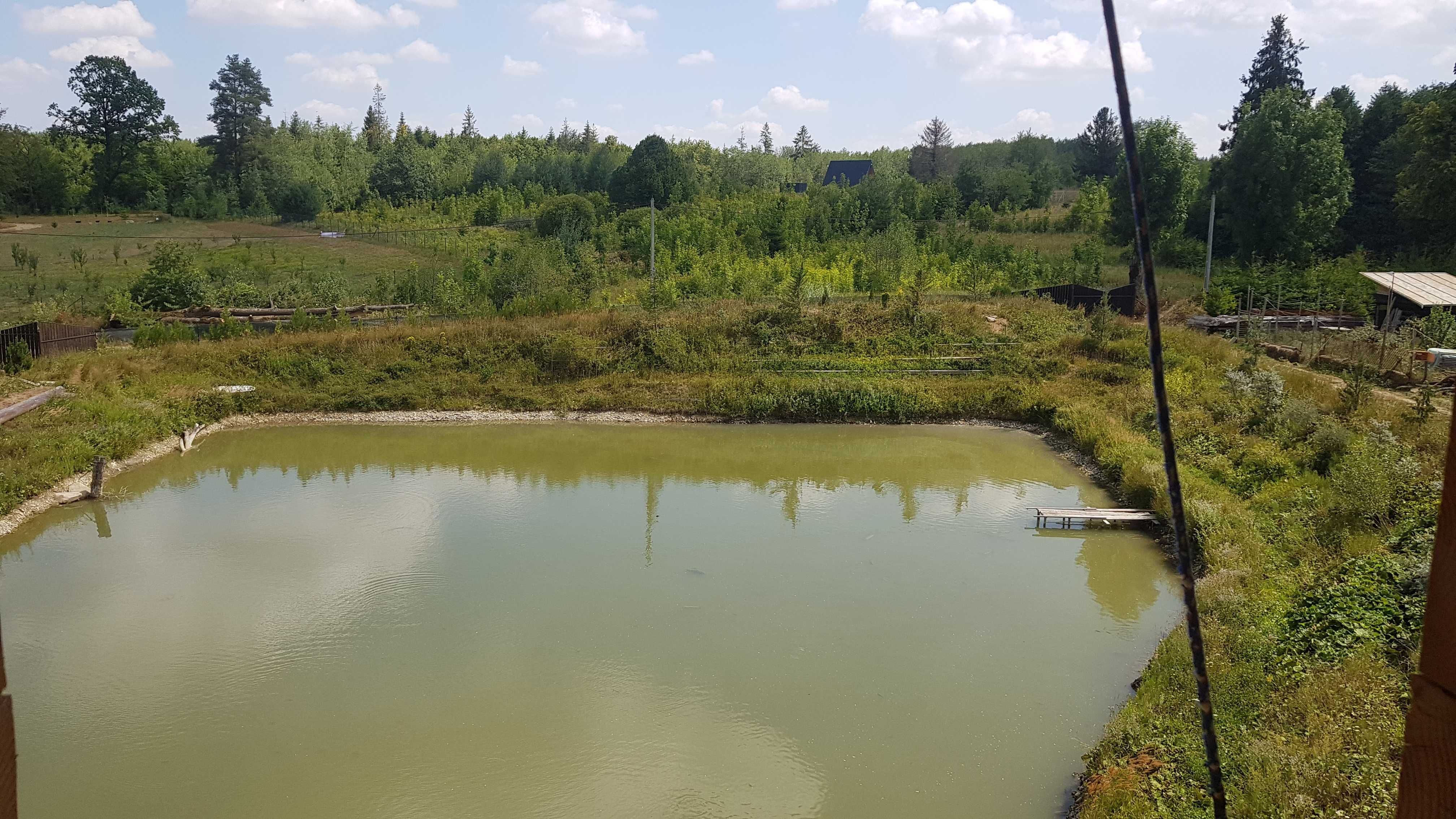 teren la munte, casa, lac si padure de vanzare