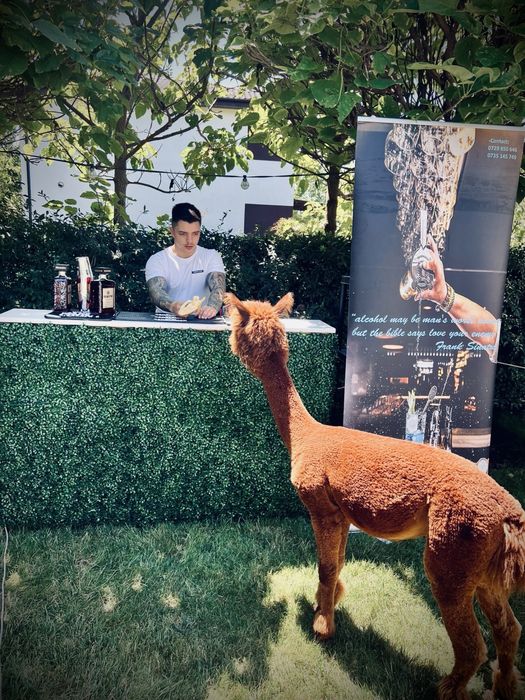 Bar Mobil/Cocktail Bar/Evenimente