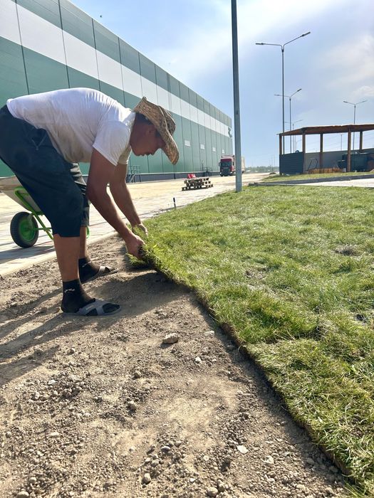 Укладка газона | Посев | Автополив