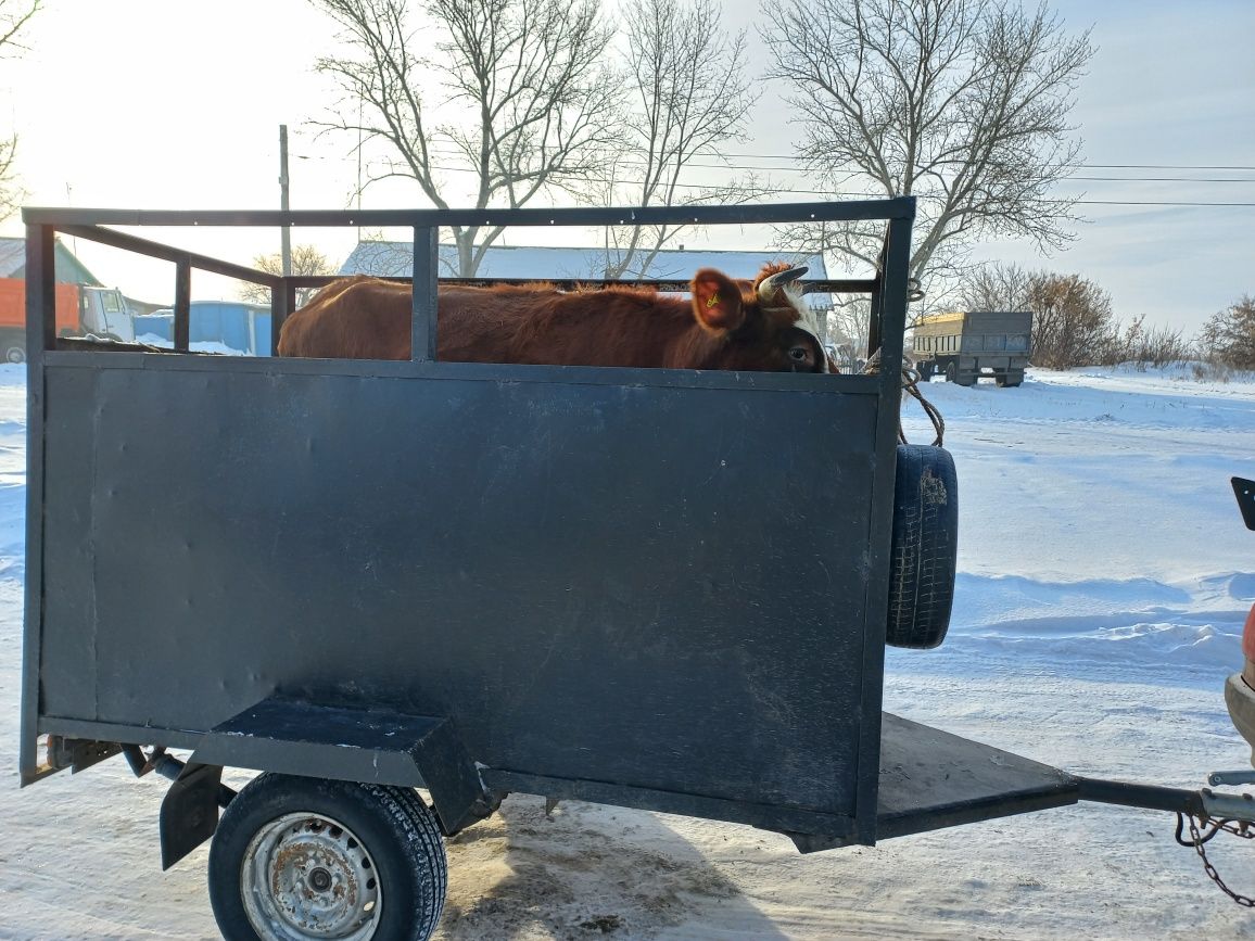 Продам прицеп скотовоз