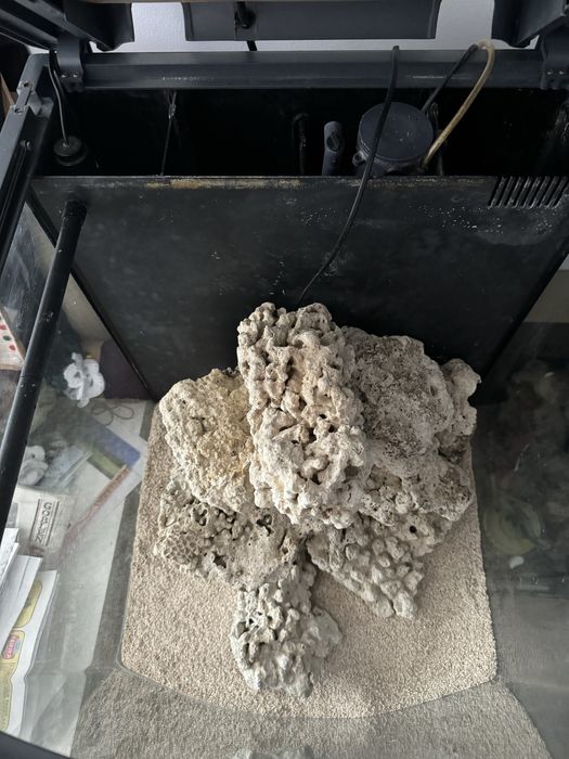 Acvariu apa sarata