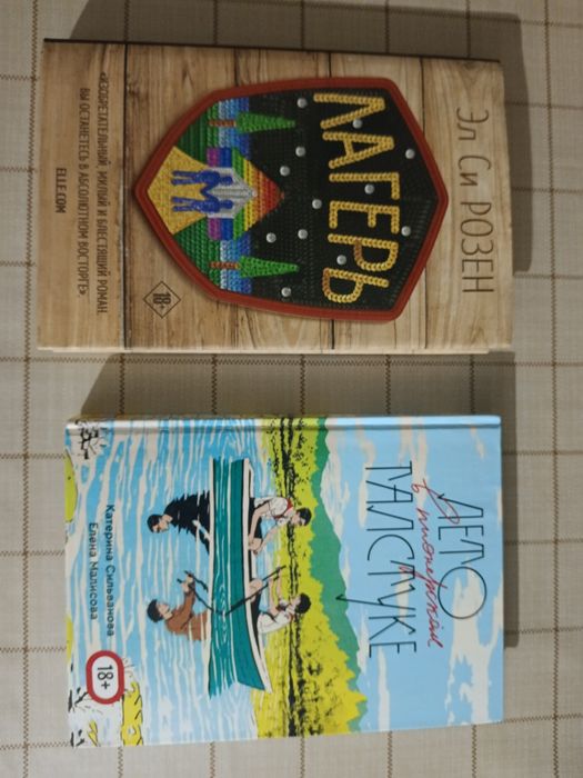книги "лето в пионерском галстуке" и "лагерь"
