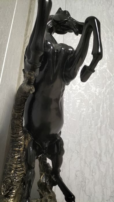 Кора байр холати идеал