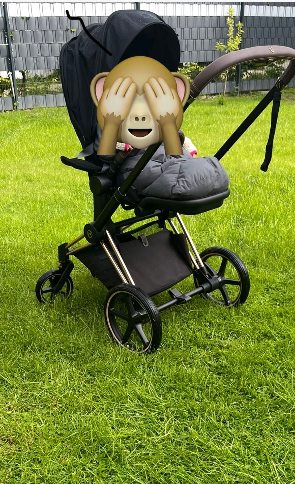 Cybex Priam 2023